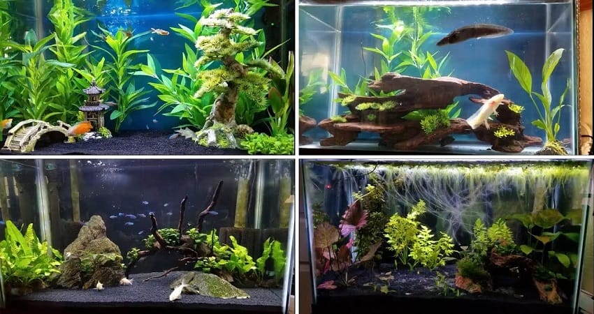 7 Best Substrate For Planted Fish Tanks (2022) | Aquarialy
